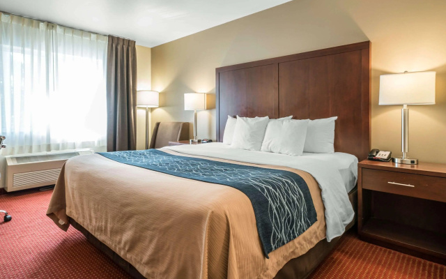 Comfort Inn Lacey - Olympia