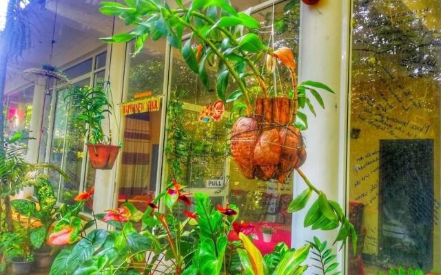 Green Garden Resort