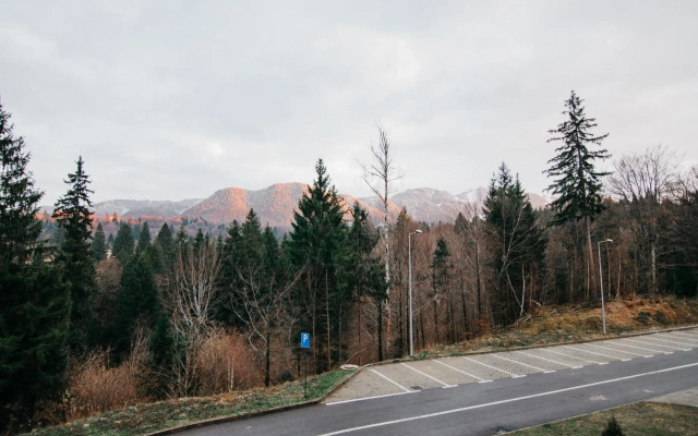 Silver Pine Apartment