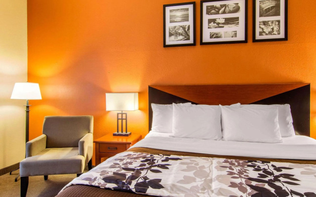 Sleep Inn & Suites Athens South