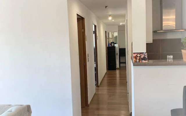 Cannes Immo Concept Palm Beach