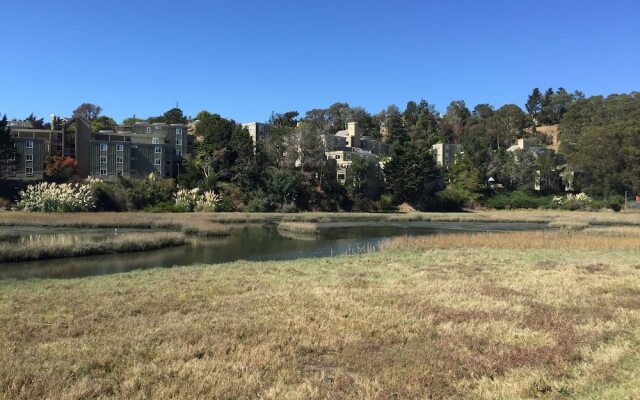 Travelodge Mill Valley/Sausalito