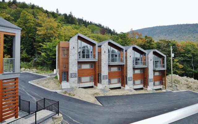 Chalets Alpins - 20 Chemin des Quarante