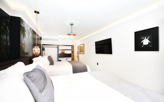 Orchid House Polanco