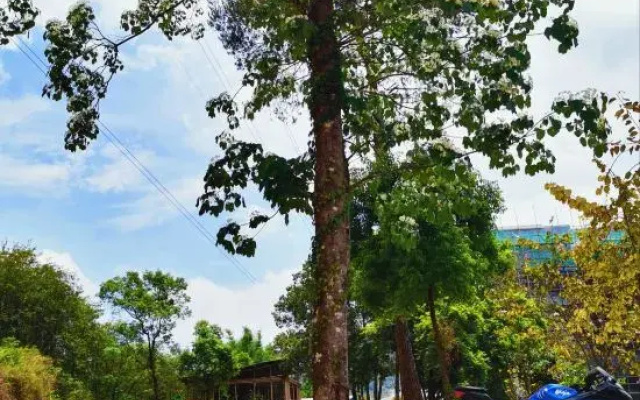 Shuiyun Jingshe Hot Spring Hotel (Xinfeng Meikeng)
