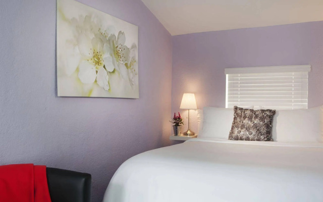 M Boutique Hotel