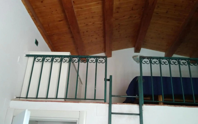 Olivella Suite