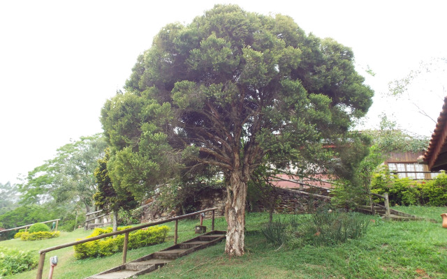 Estrela Da Serra Hotel Fazenda