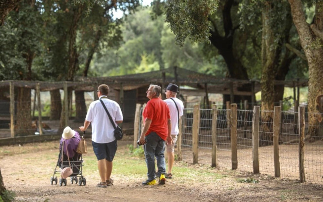 Le Rendez-vous de l'Été