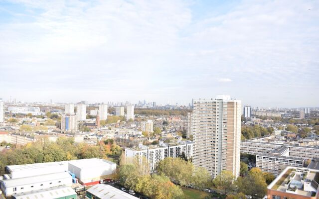 1 Bedroom Apartment in Battersea With Roof Terrace