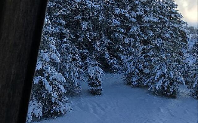 Apartment A6 Kopaonik