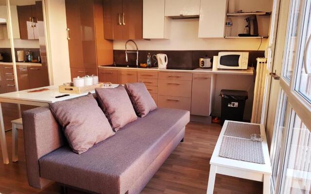 SW Cosy Apart - Paris Le Bourget Roissy CDG