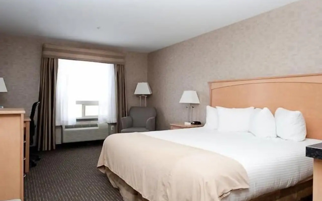 Paradise Inn & Suites Valleyview