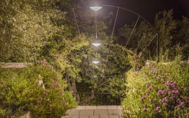 Tenuta Olive Alive