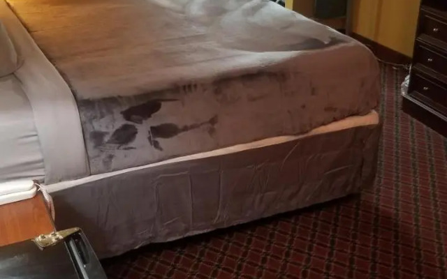 Osu King Bed Hotel Room 111 Booking