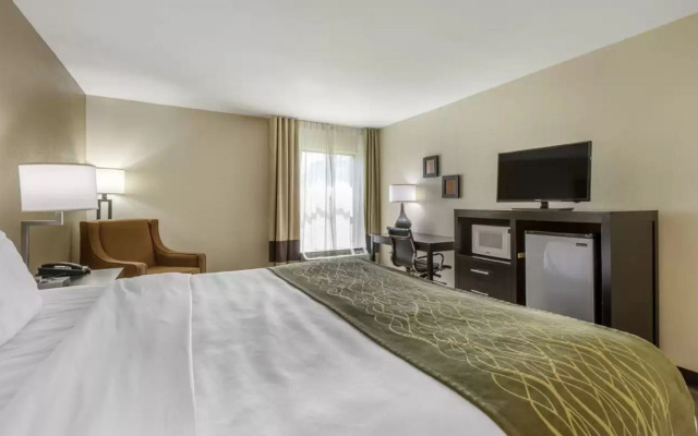 Comfort Inn Marion near Downtown & Blue Ridge PKWY