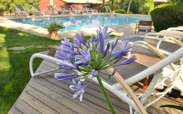 Hotel Spa & Restaurant Cantemerle