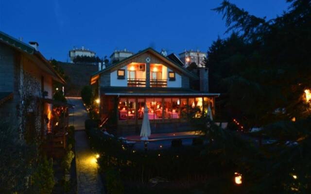 Agva Tree Tops Park Hotel