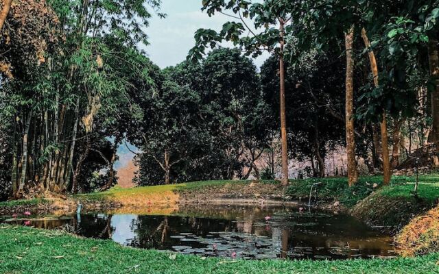 HugHome Valley Chiang Dao Hostel