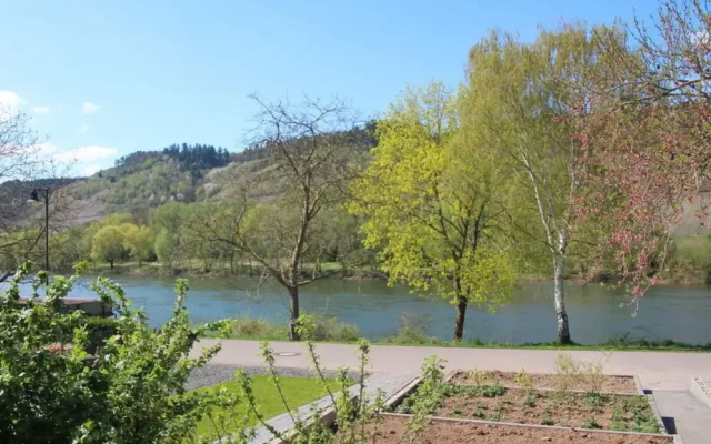 Riesling Apartment on the Moselle Terrace