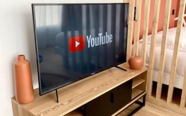 Magnifique appartement au centre de Reims