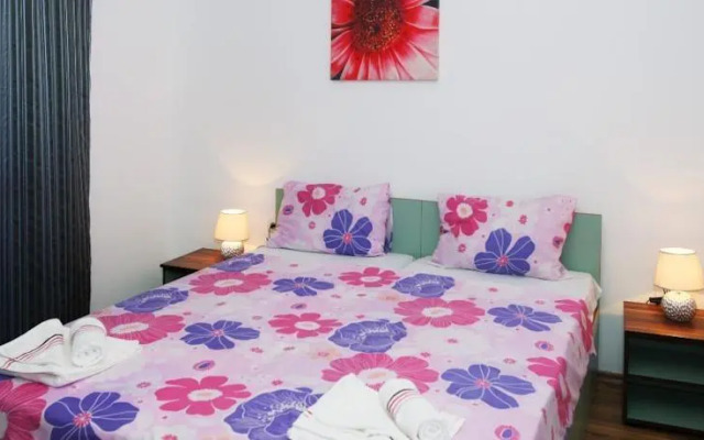 Sofia Apartments in Sunny Residence