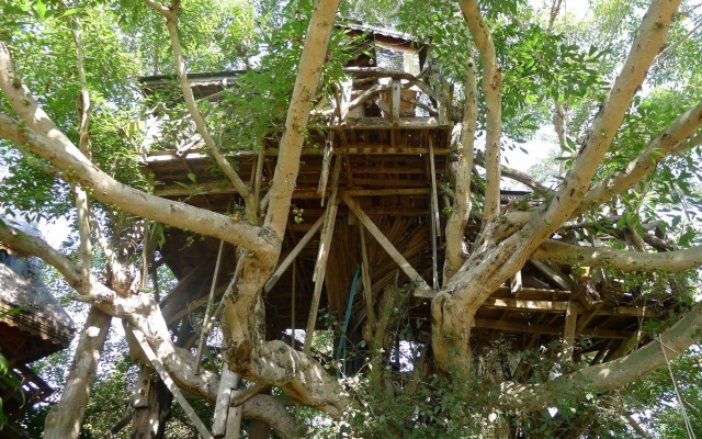 Pai Treehouse Resort