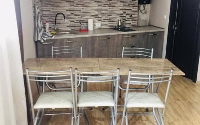 Arshaura Apartment near Kazbegi