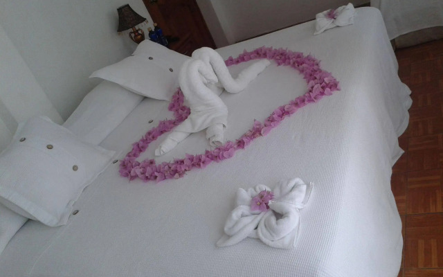 Galapagos Islands Hotel