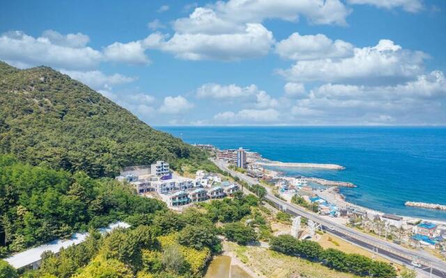 Dalbit (Blue Road Town Pension)