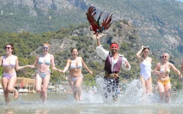 Green Pine Beach & Bungalows Luxury Concept