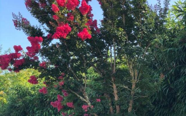 Les Hauts de Castets