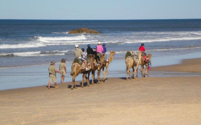 Flynns Beach Resort