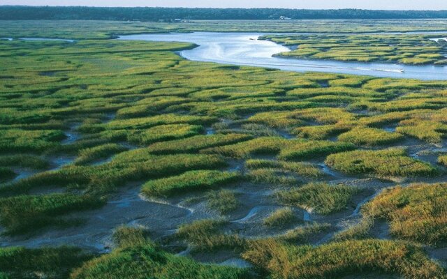 The Lodge at Sea Island