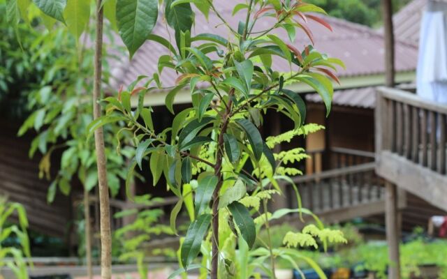 Golden Bungalow (former Hillside Bungalow )