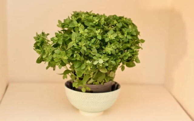 St Georges Place Studio 8