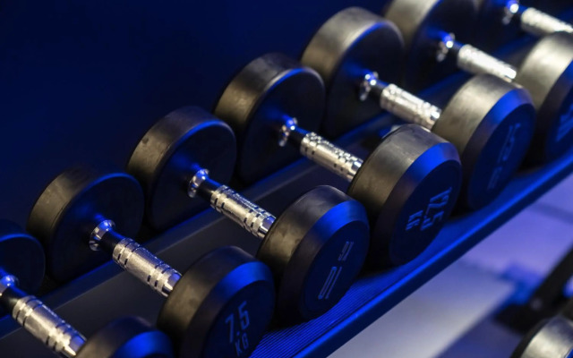 Suites Plaza Hotel & Wellness