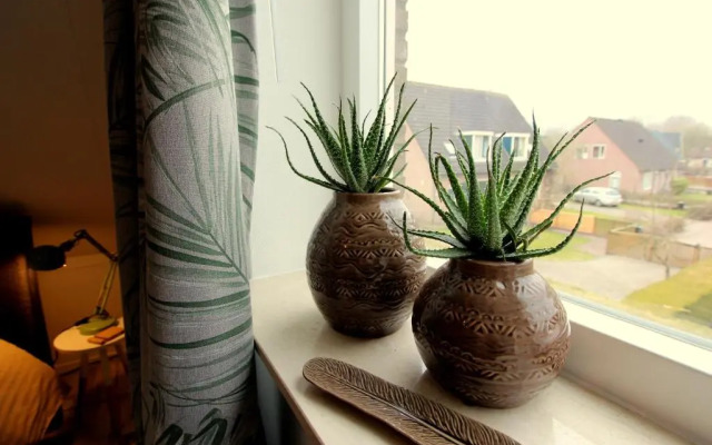 B & B Janneke Elsloo Friesland