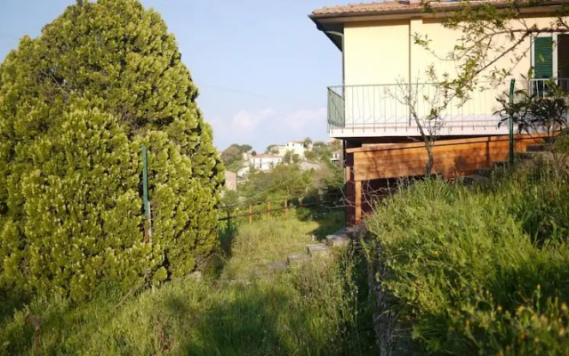 La Tuja