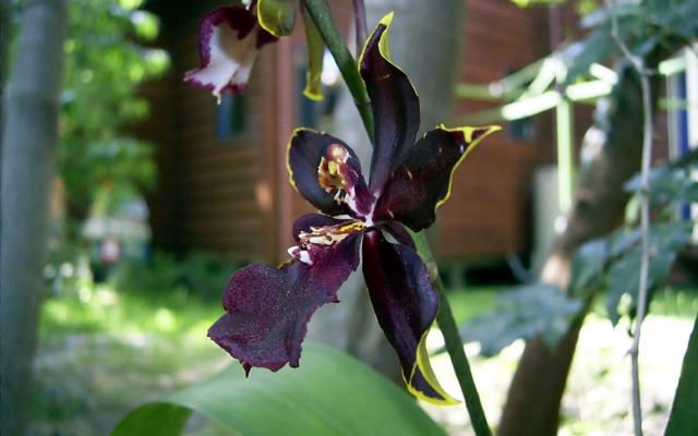 Planula Bed & Breakfast Retreat