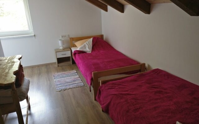 Apartments Cerovecki