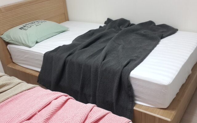 Spacious Apartment in Central Seoul