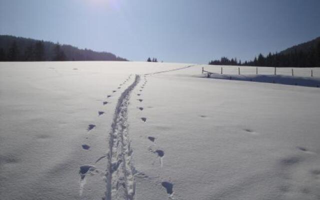 Hotel Pension Schwaiger