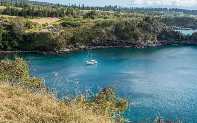 Kaleialoha 402