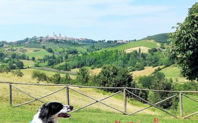 Agriturismo Poggiacolle