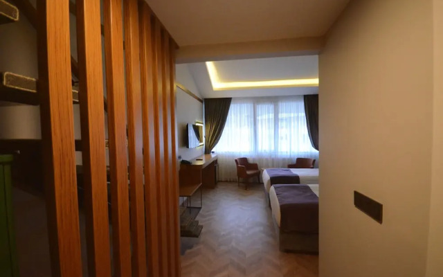 Sarikamis Snowflake Dağ Oteli