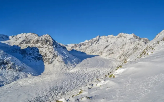 Vieux Valais Beevalais 2
