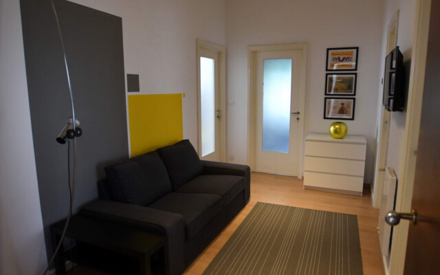 Rondone Giallo - Le Rondinelle