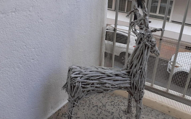 Rainbow Rentals Marques 7