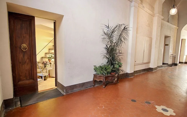 Rinidia Siena Centro